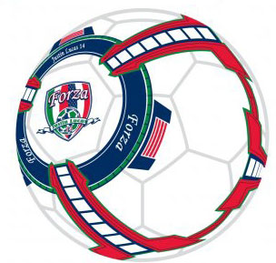 Picture of Forza ball that is being sold for the Foundation