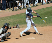 One of Cam's 7 Homers Last Week